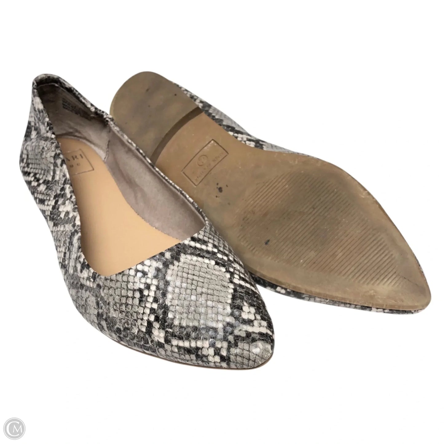 Shoes Flats By Kaari Blue In Snakeskin Print, Size: 7.5