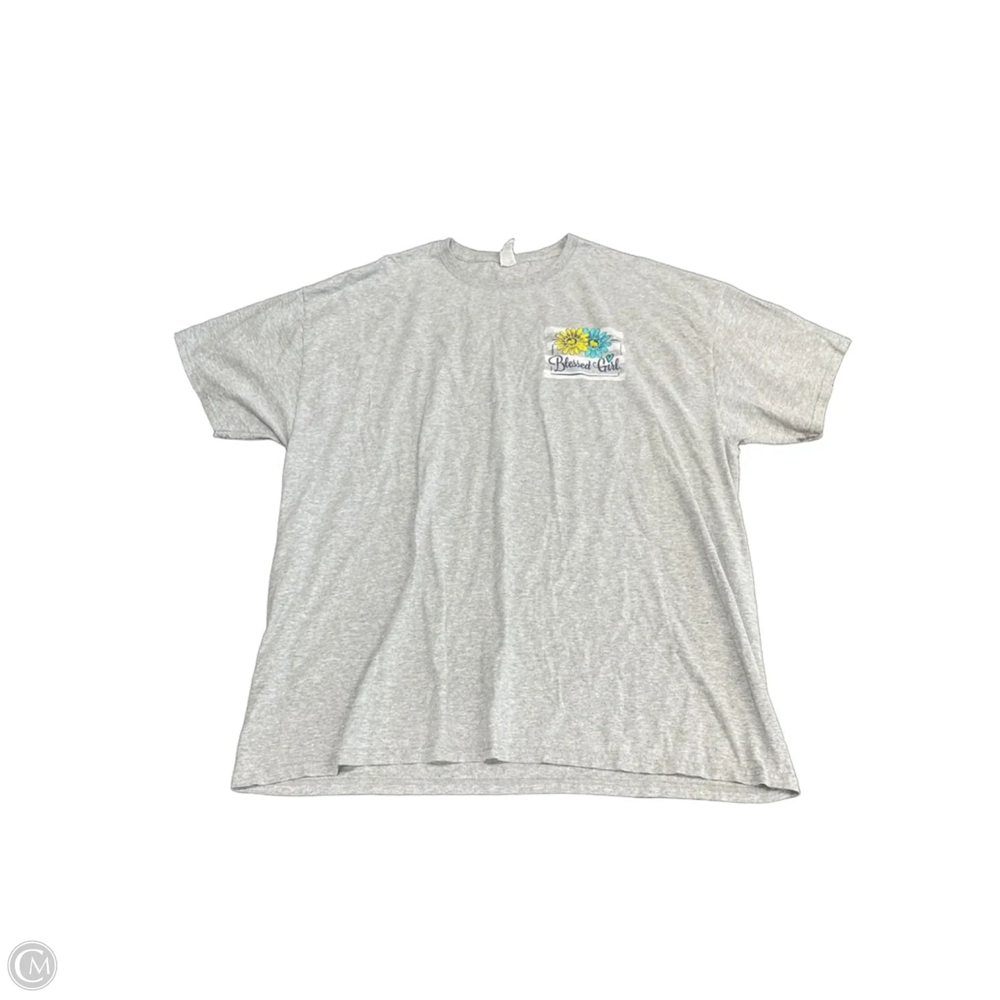 Top Short Sleeve Basic By Fruit Of The Loom In Grey, Size: 2x