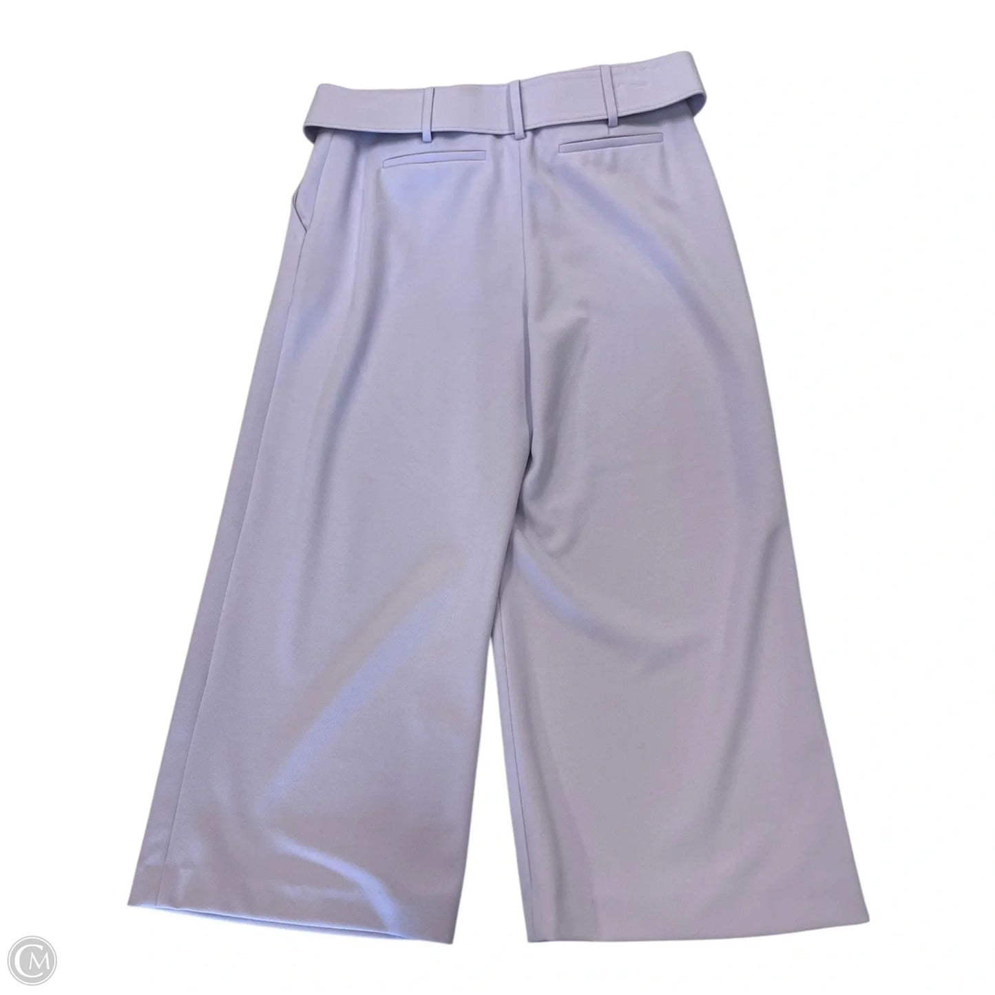 Capris By Gianni Bini In Purple, Size: 6