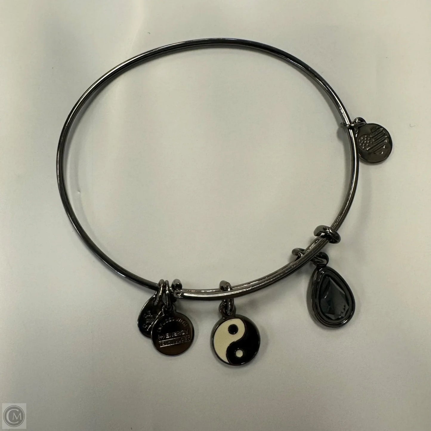 Bracelet Charm By Alex And Ani