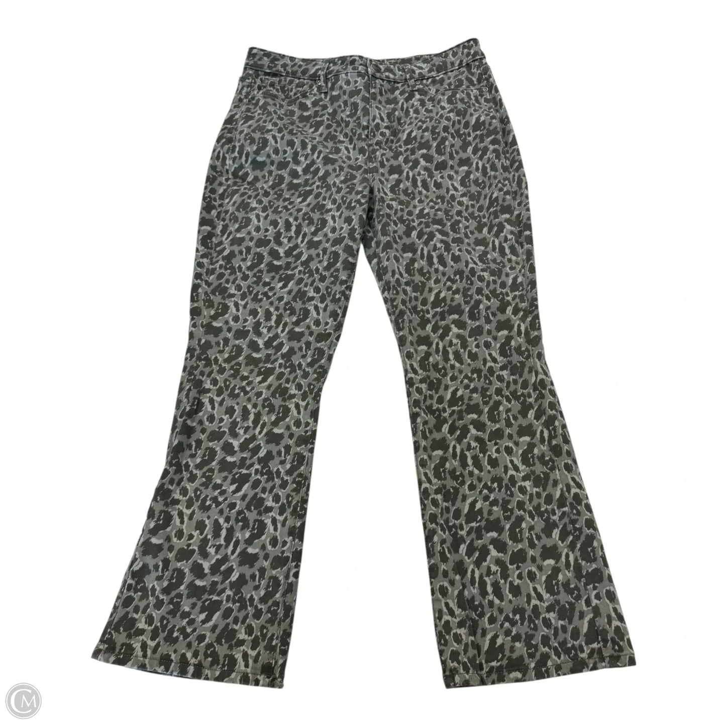 Pants Other By Not Your Daughters Jeans In Green, Size: 10