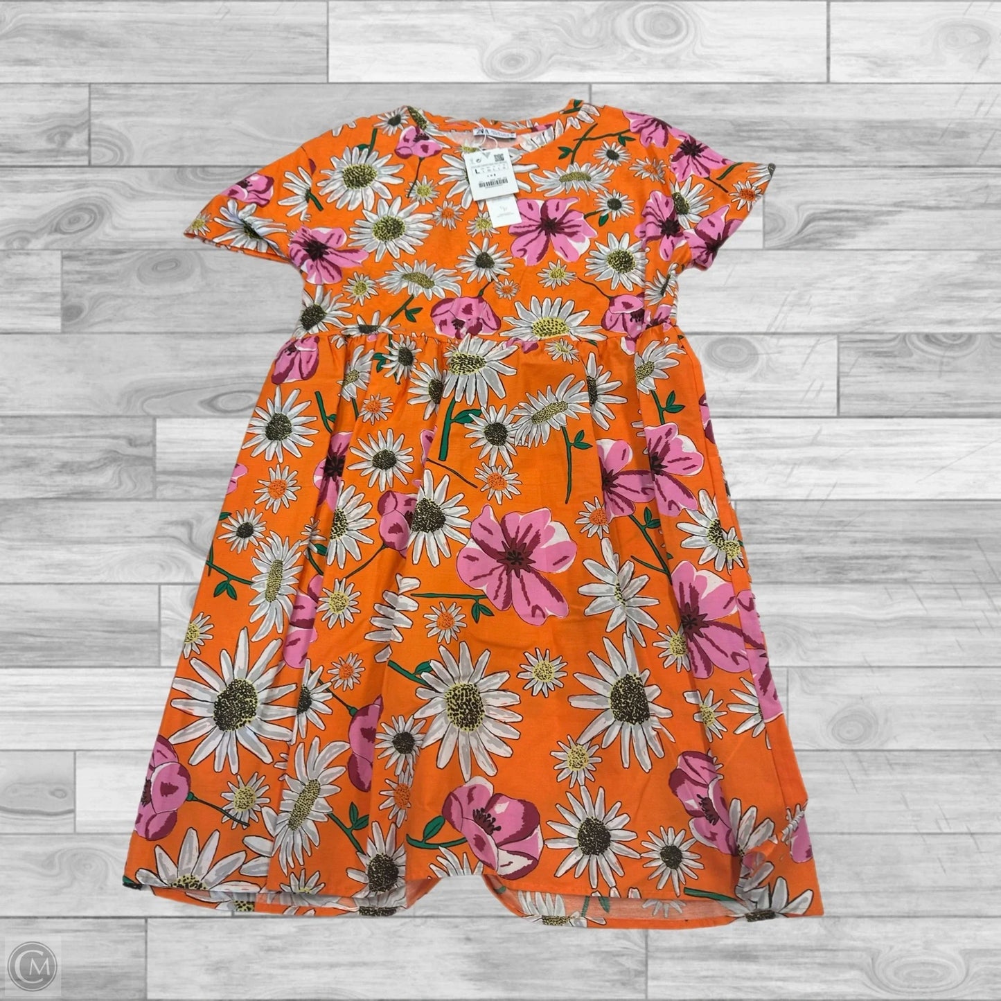 Dress Casual Short By Zara In Floral Print, Size: L