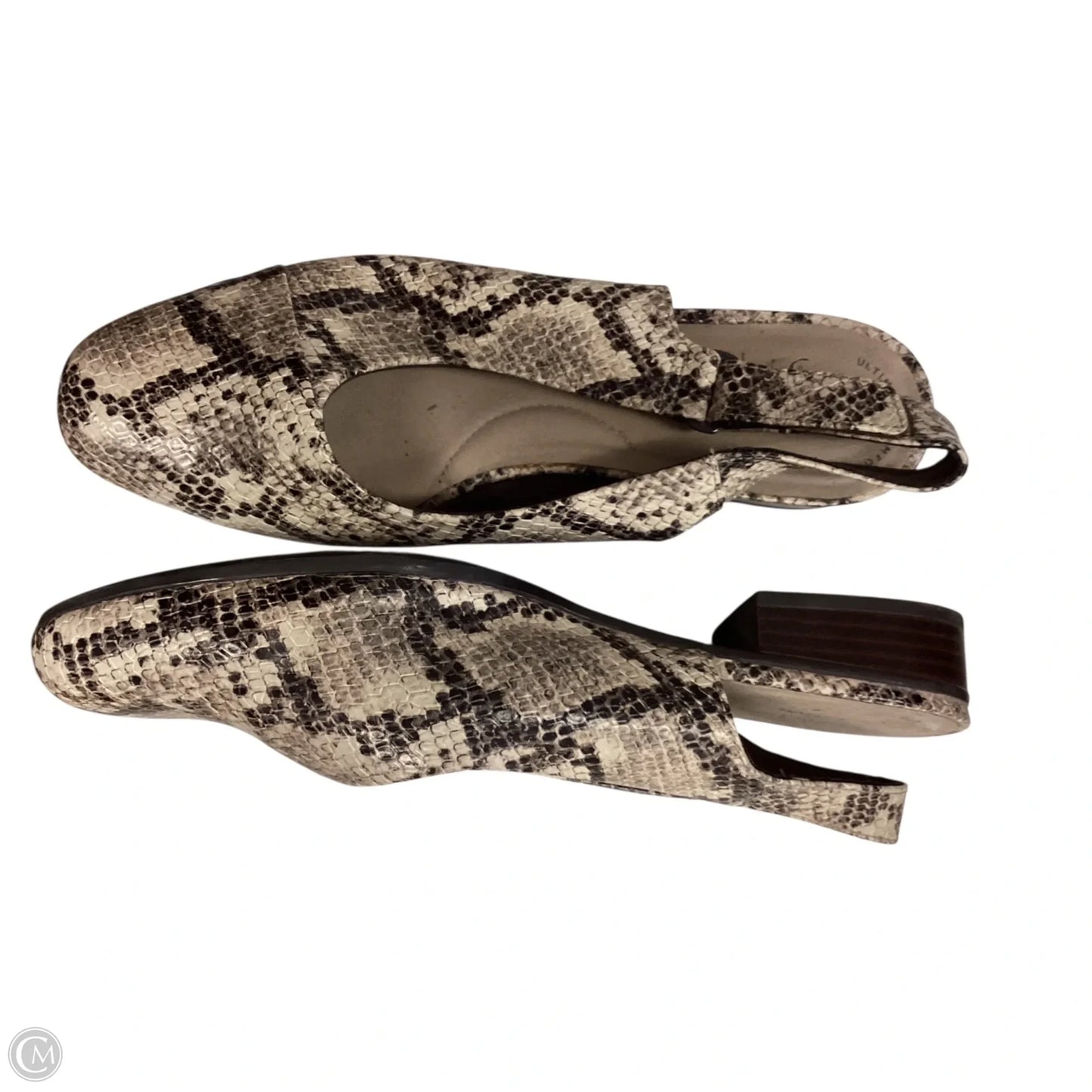 Sandals Flats By Clarks In Animal Print, Size: 8.5