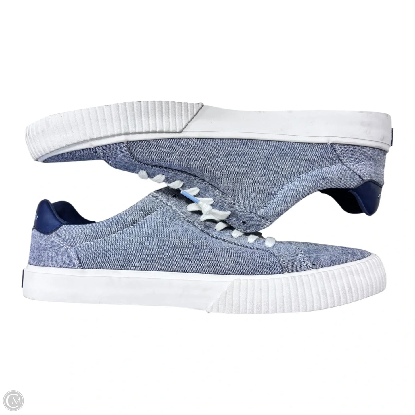 Shoes Sneakers By Sperry In Blue, Size: 10