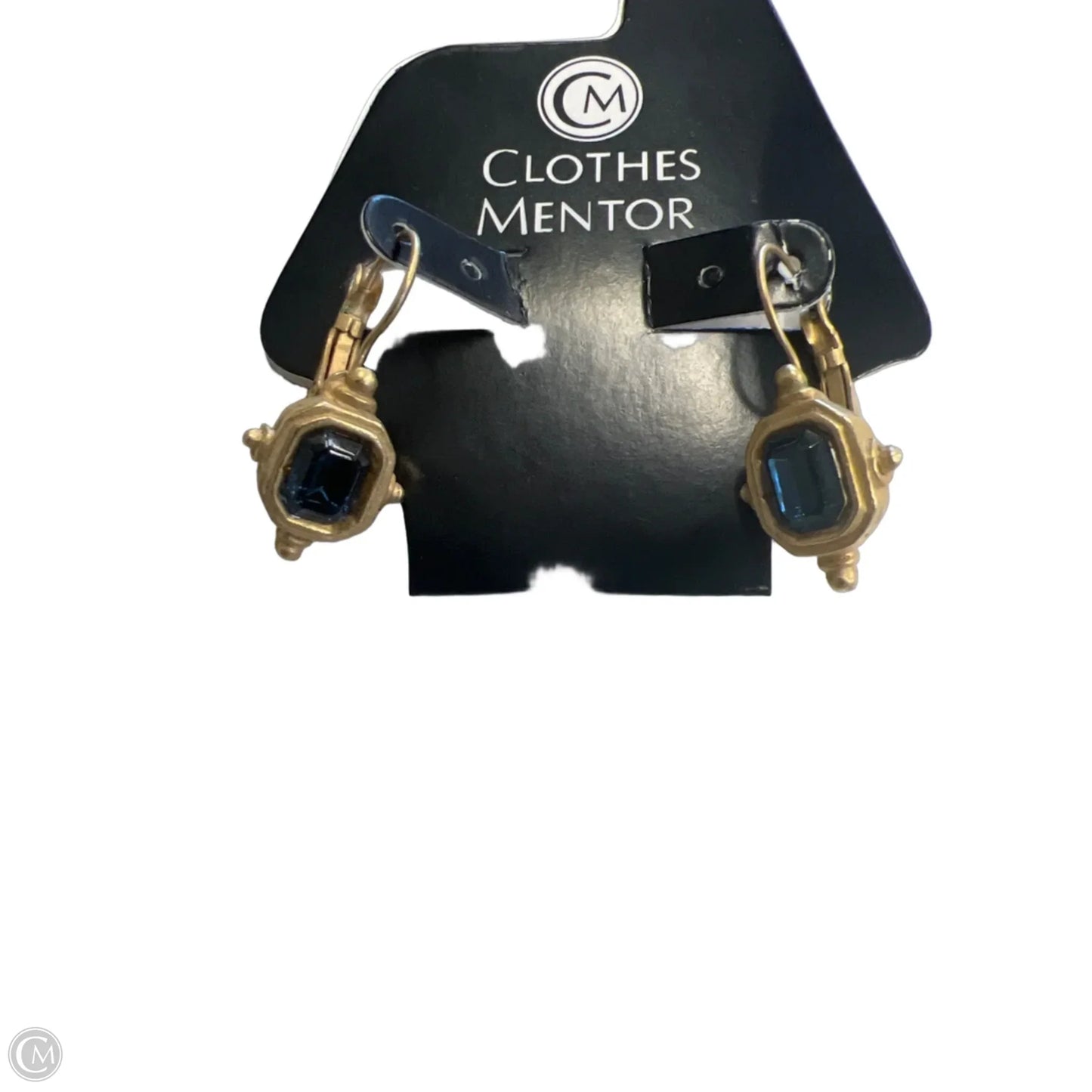 Earrings Dangle/drop By Clothes Mentor