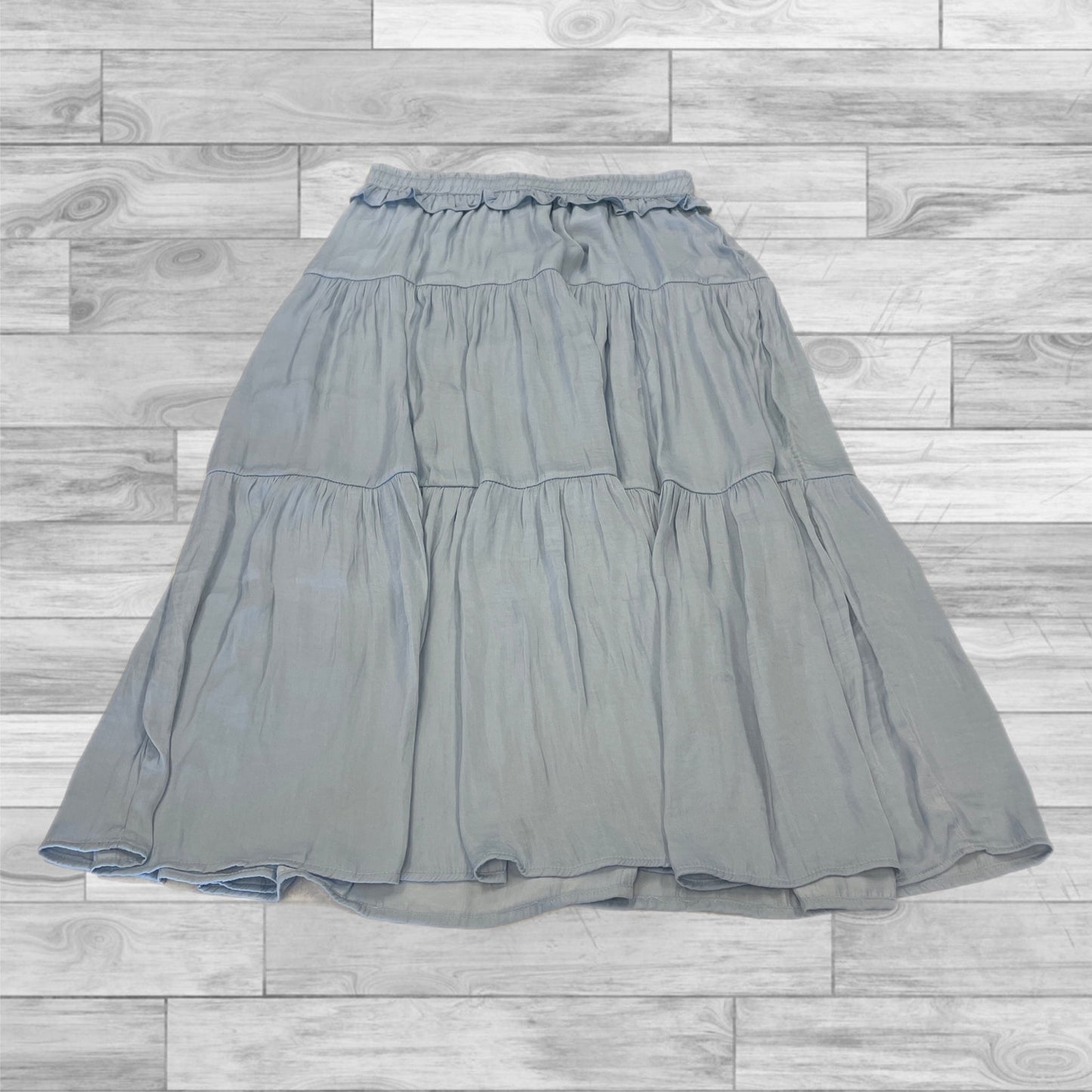 Skirt Maxi By Rachel Zoe In Blue, Size: S