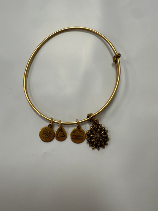 Bracelet Bangle By Alex And Ani