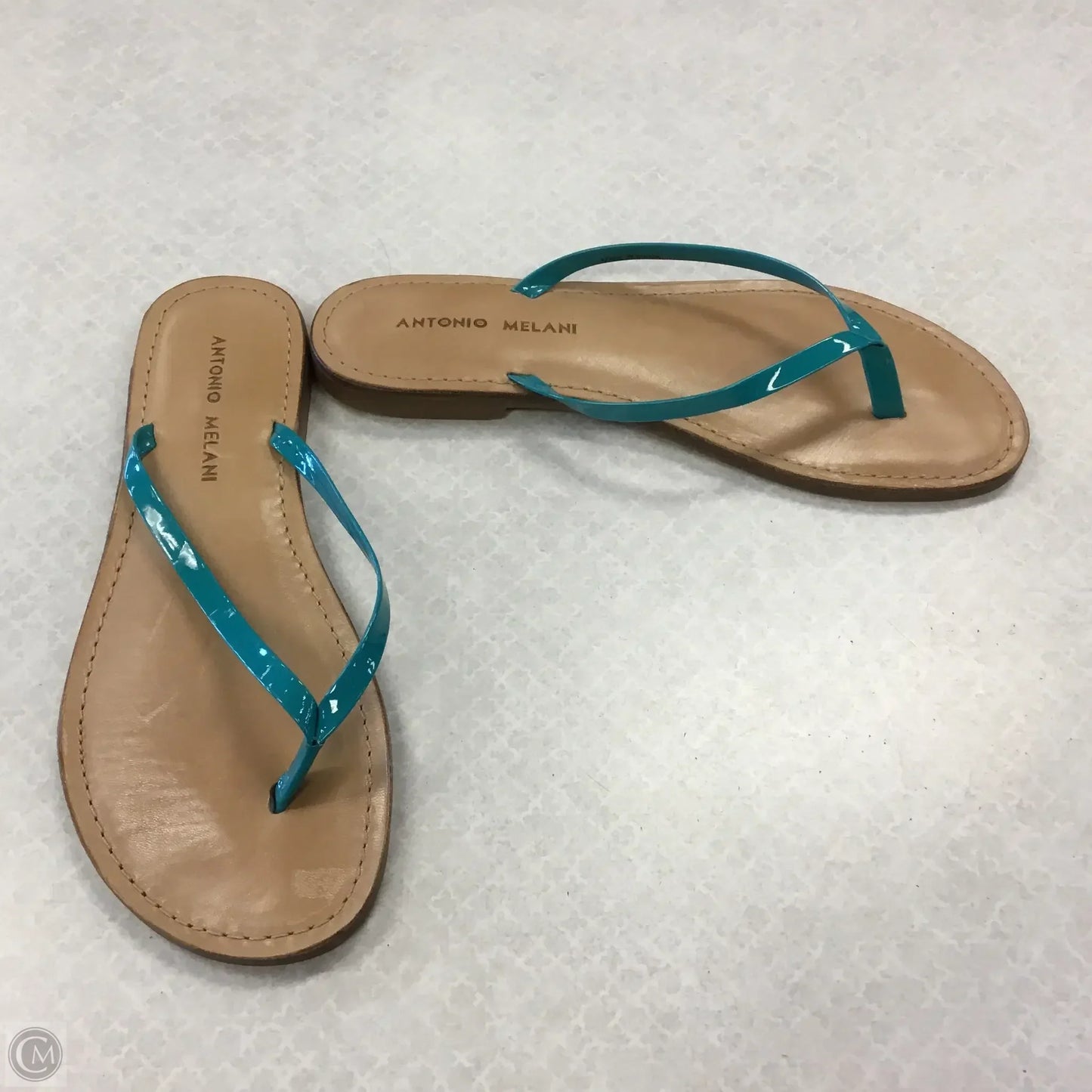 Sandals Flats By Antonio Melani In Green, Size: 6.5