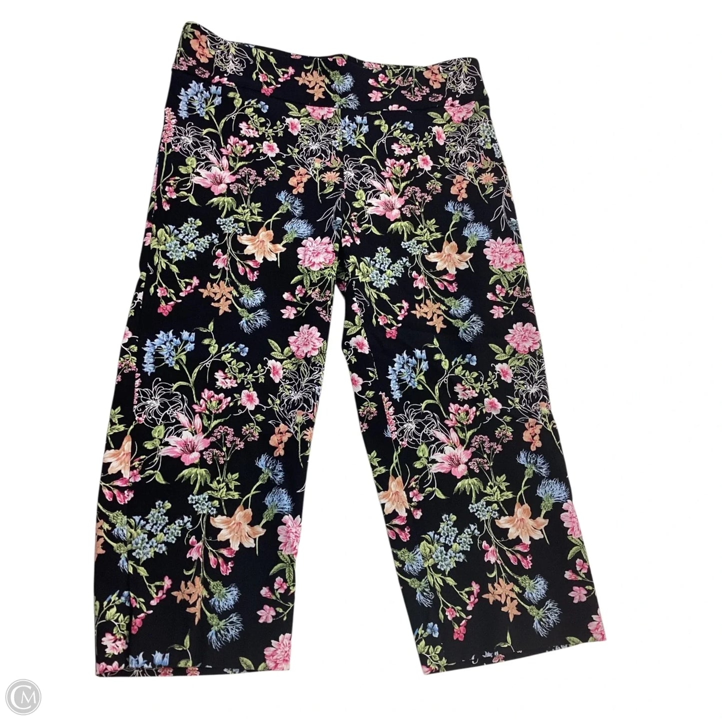 Capris By Counterparts In Floral Print, Size: 6p