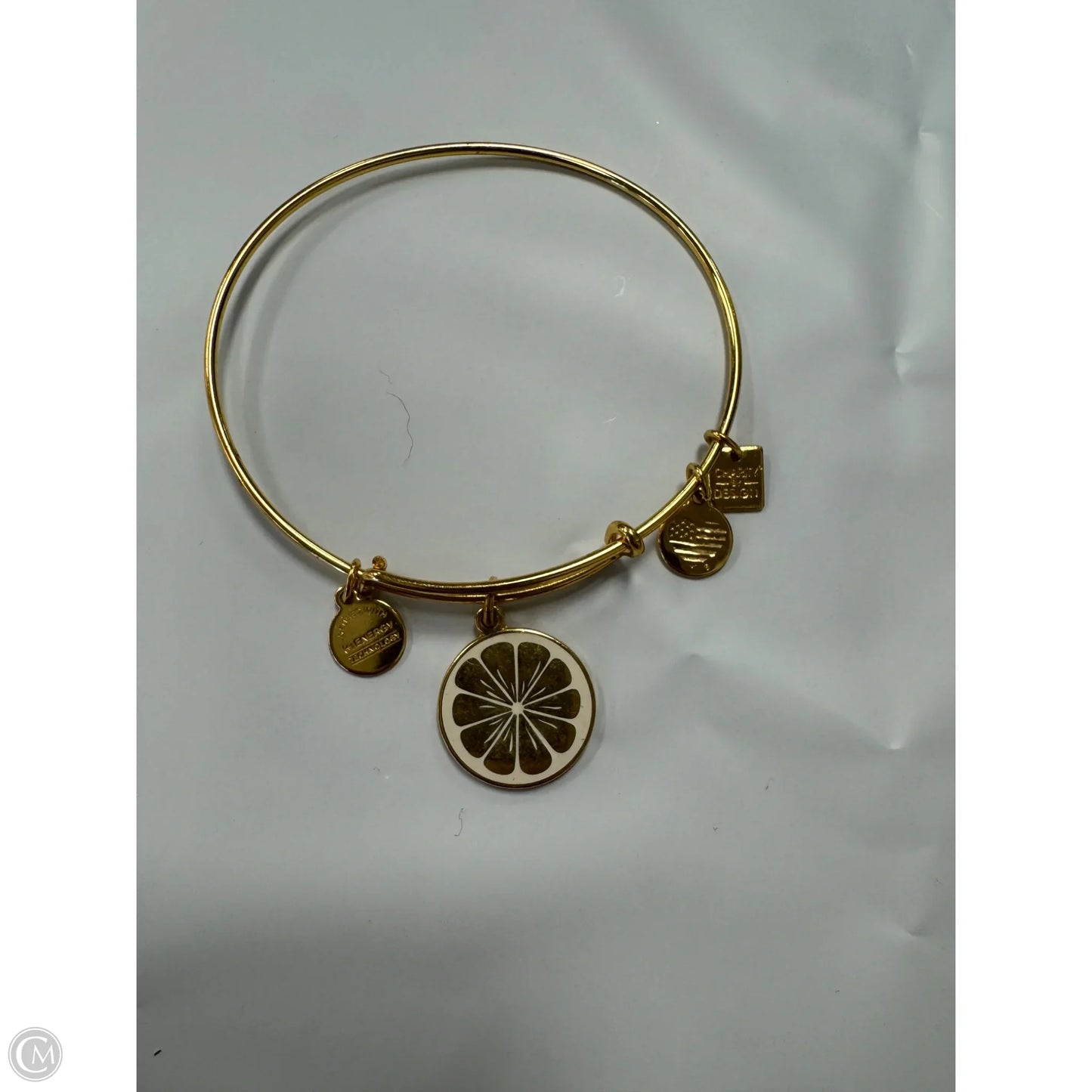 Bracelet Bangle By Alex And Ani