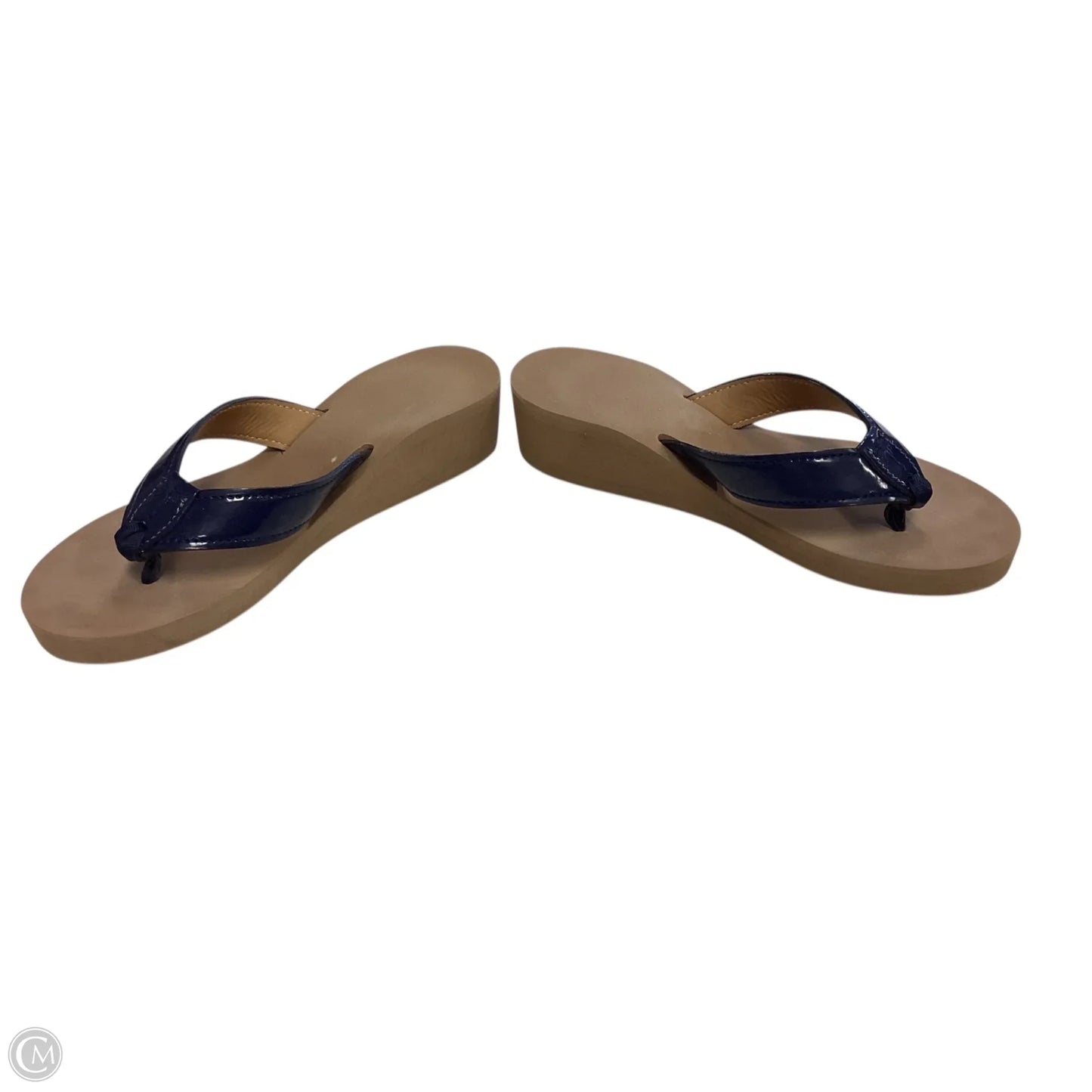 Sandals Flip Flops By Clothes Mentor In Blue, Size: 6