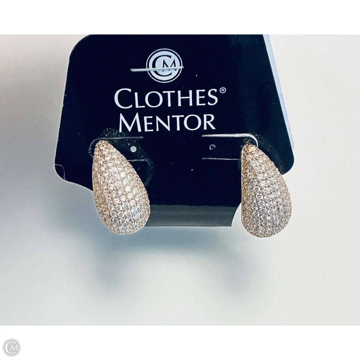 Earrings Dangle/drop By Clothes Mentor