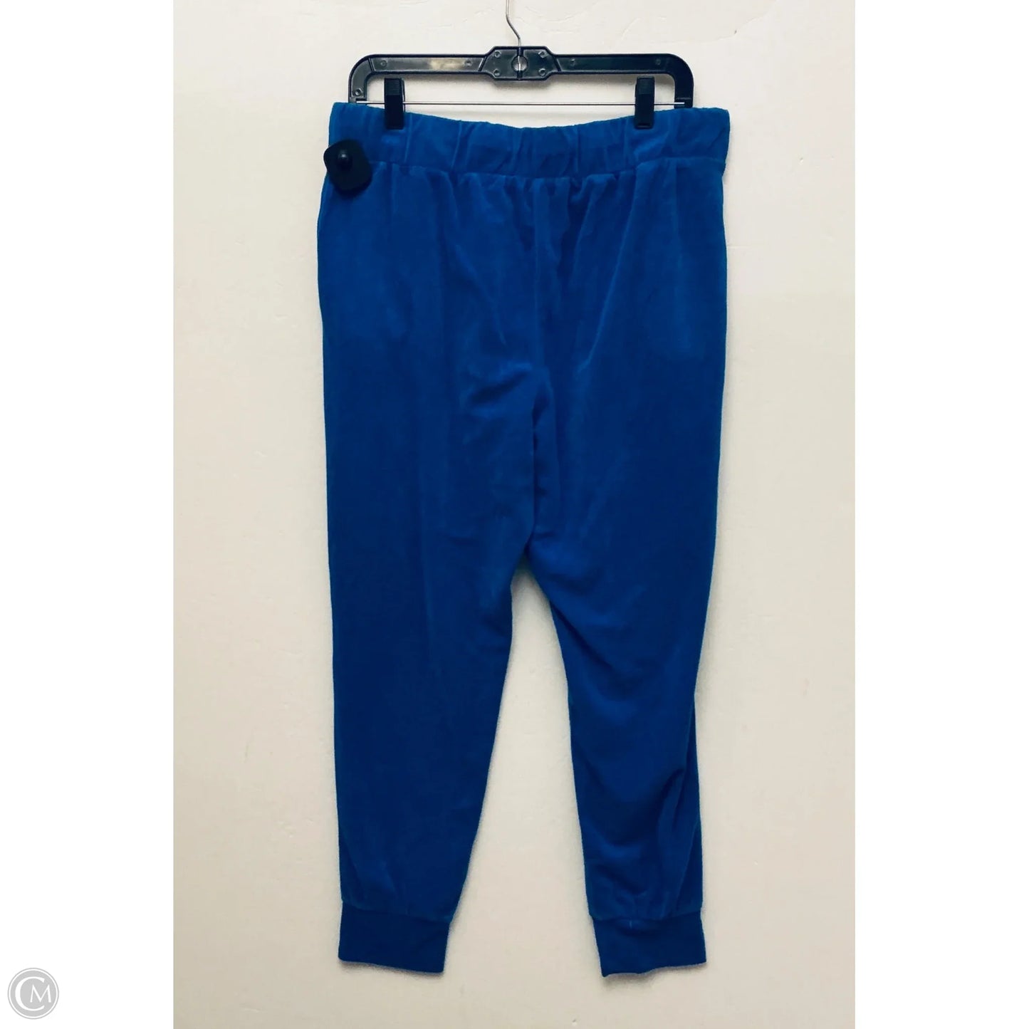 Pants Lounge By Juicy Couture In Blue, Size: L