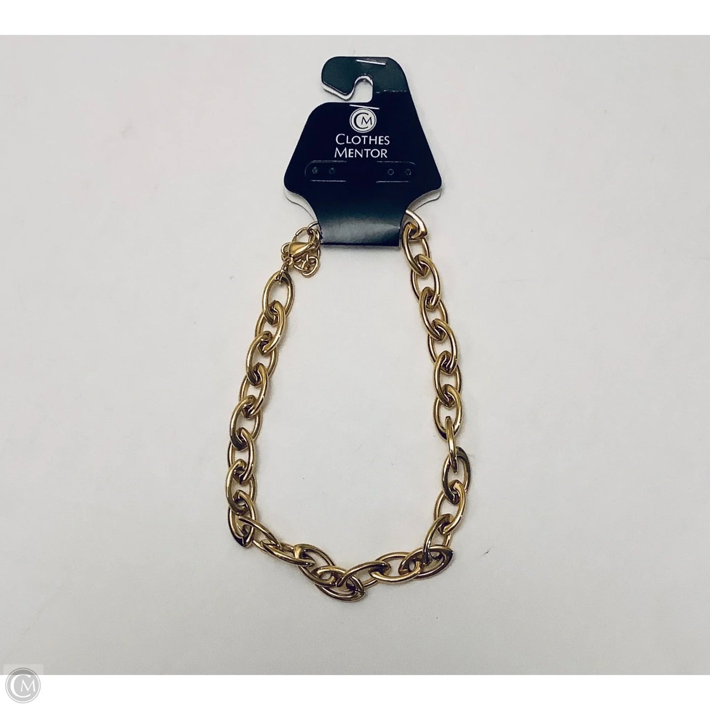 Necklace Chain By Clothes Mentor