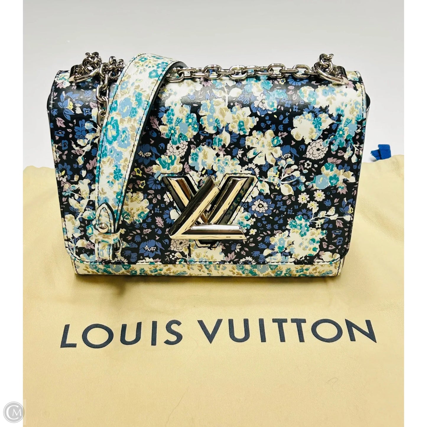 Handbag Luxury Designer By Louis Vuitton