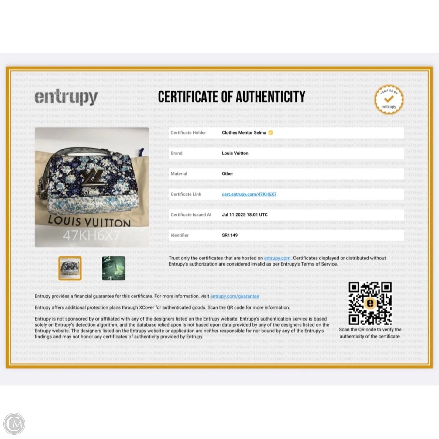 Handbag Luxury Designer By Louis Vuitton