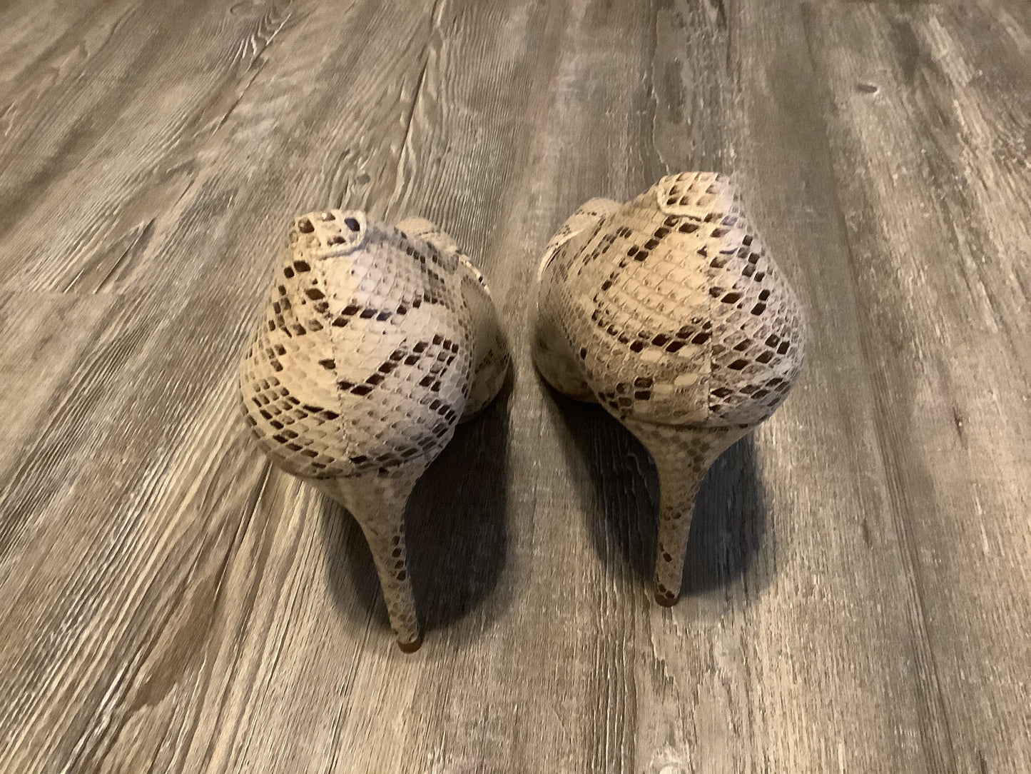 Snakeskin Print Shoes Heels Stiletto Bcbg, Size 7.5