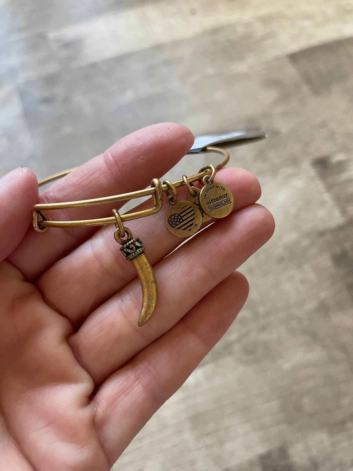 Bracelet Charm By Alex And Ani