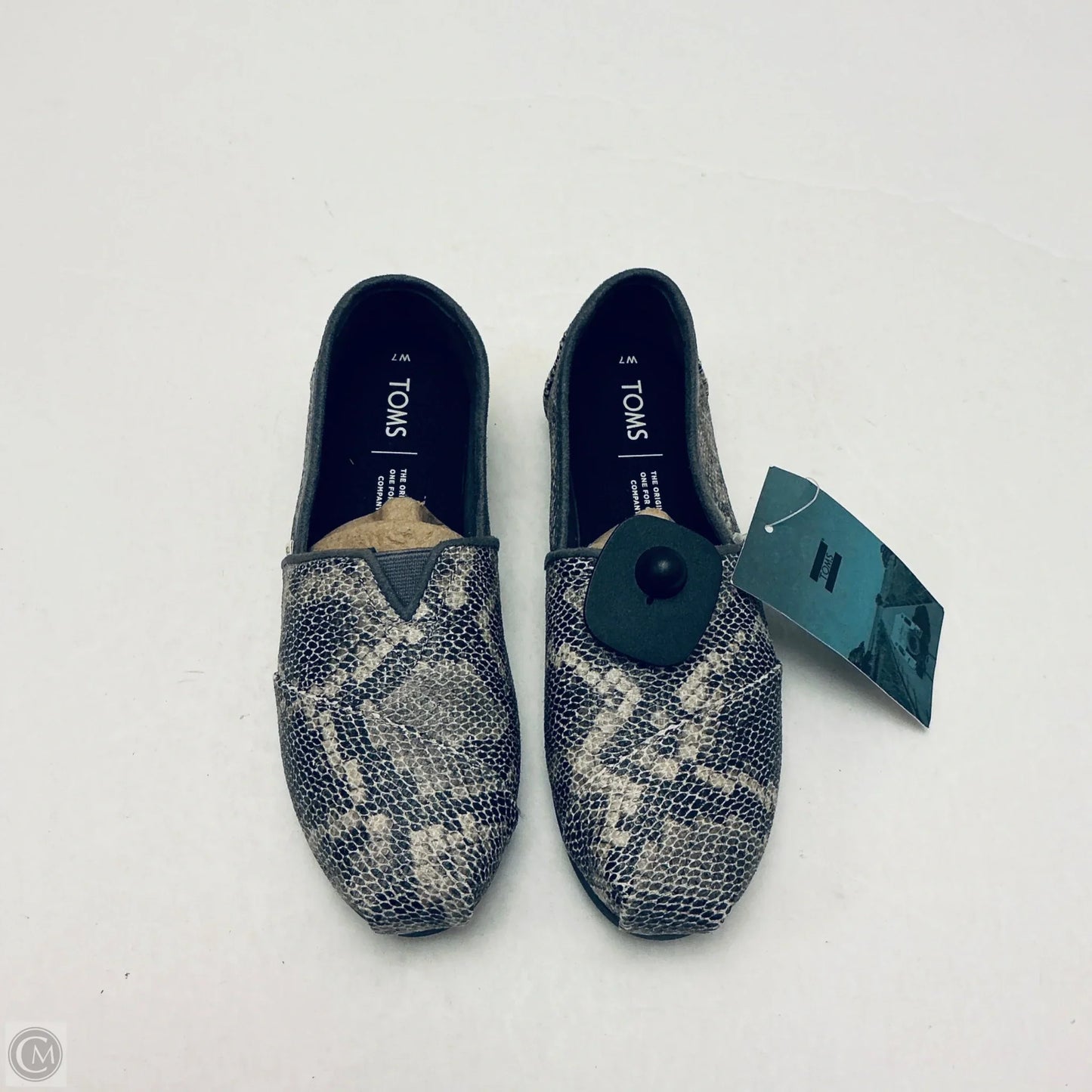 Shoes Flats By Toms In Snakeskin Print, Size: 7