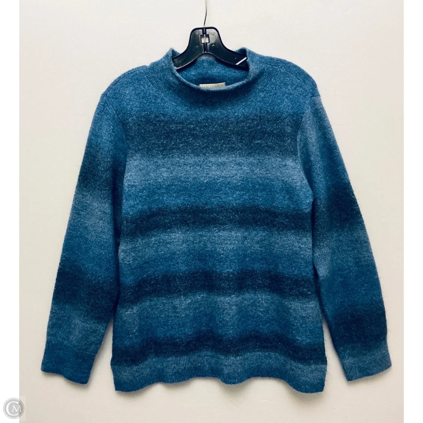 Sweater By Appleseeds In Blue, Size: Lp