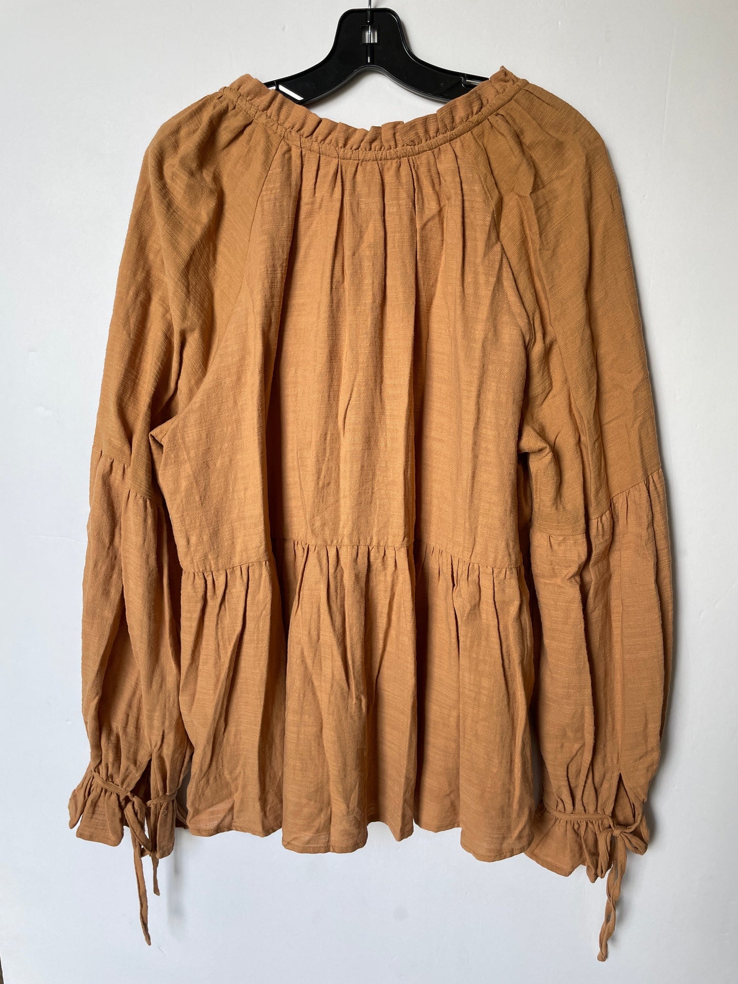 Brown Top Long Sleeve Hailey & Co, Size 2x