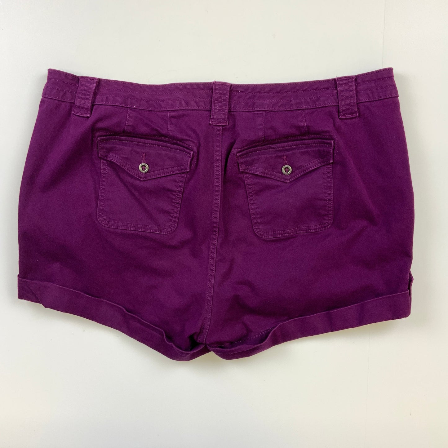 Purple Shorts Torrid, Size 20