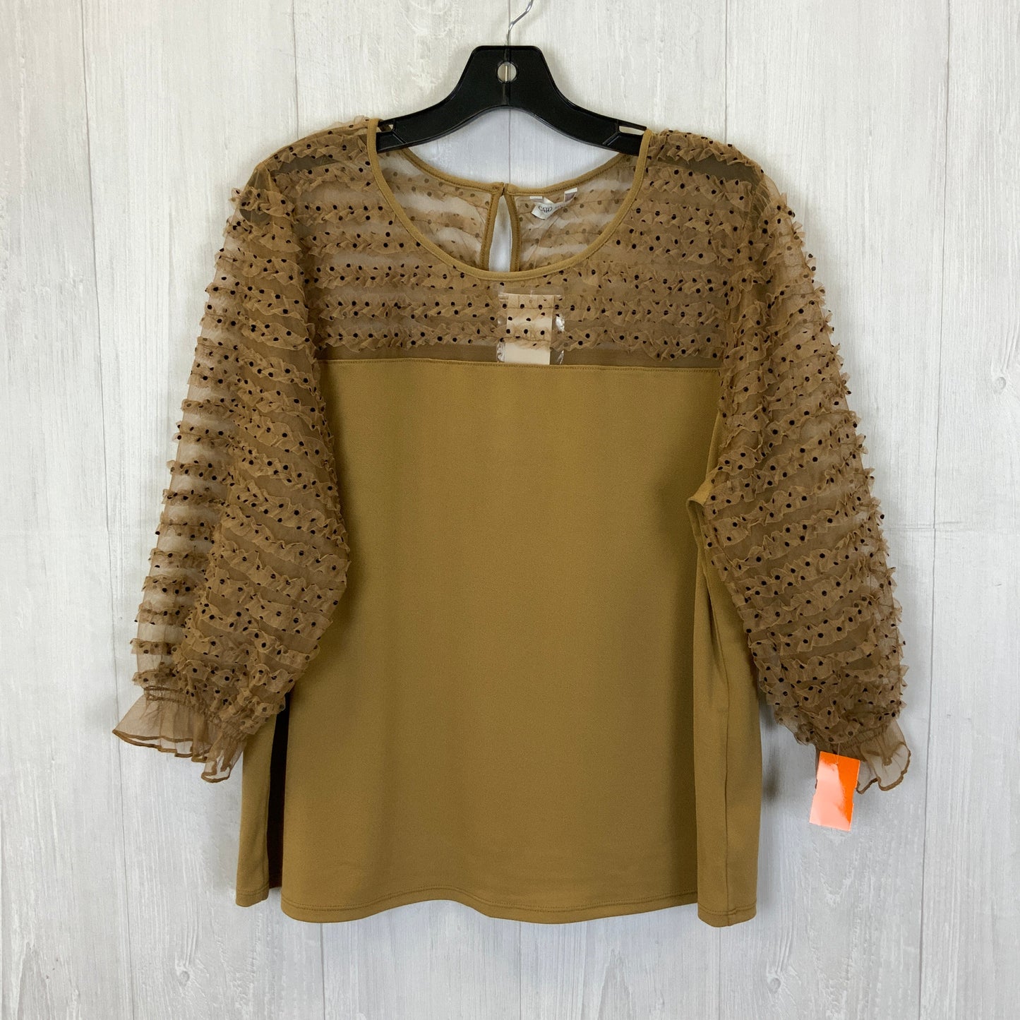 Tan Top 3/4 Sleeve Cato, Size Xl