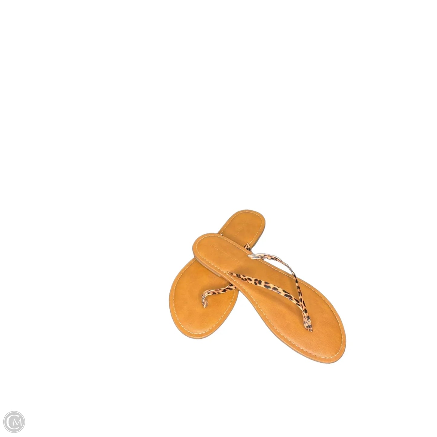 Sandals Flip Flops By Clothes Mentor In Animal Print, Size: 7.5