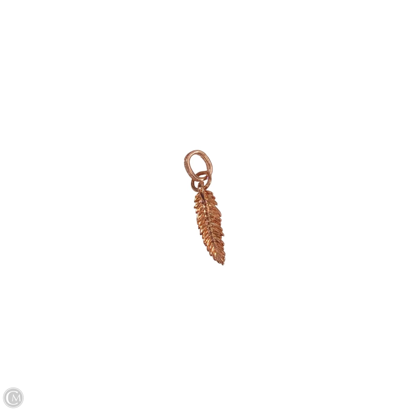 Bracelet Charm By Pandora