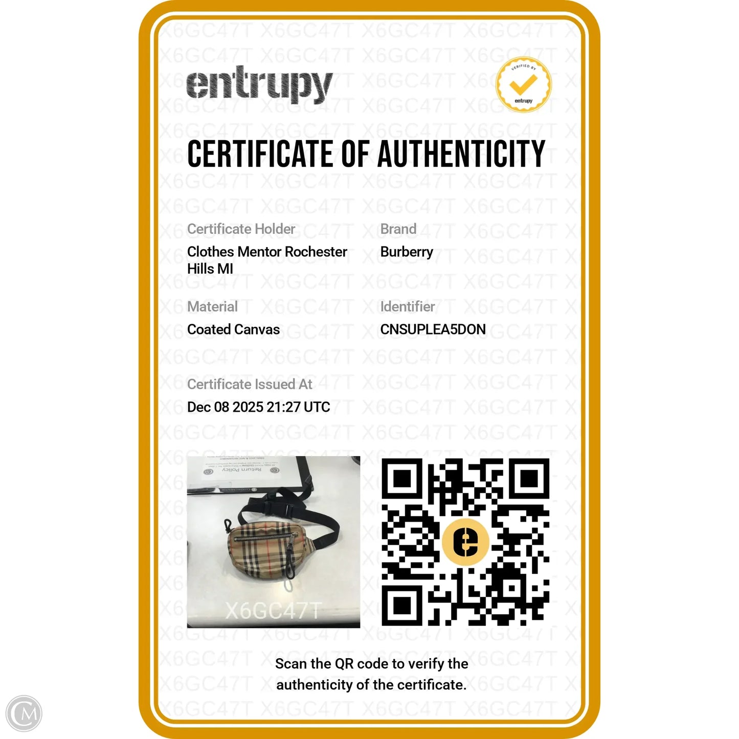 Belt Bag Designer By Burberry, Size: Small