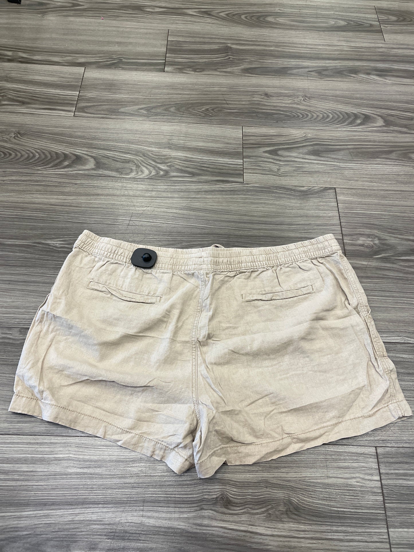 Shorts By Time And Tru  Size: 3x