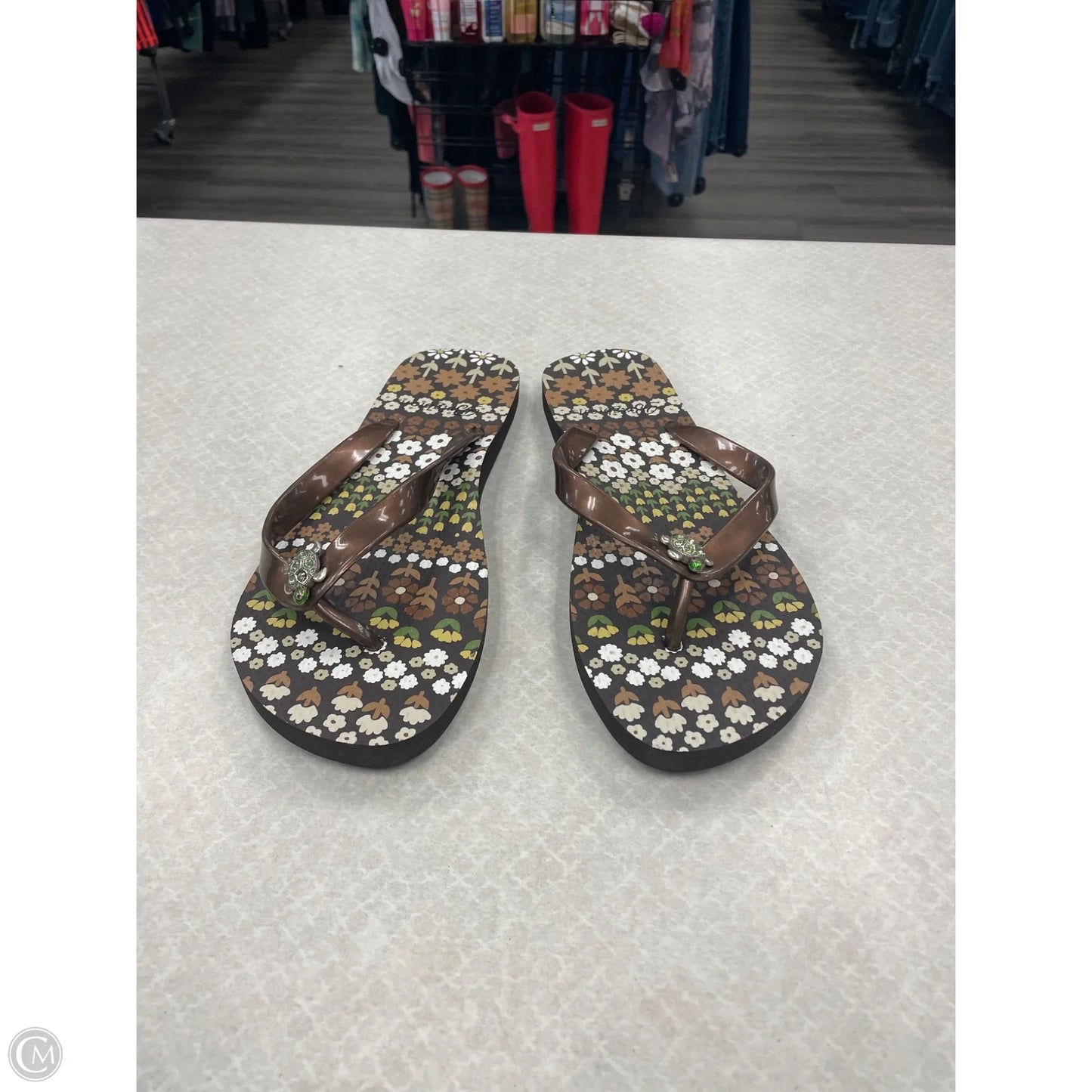 Sandals Flip Flops By Brighton In Brown, Size: 9