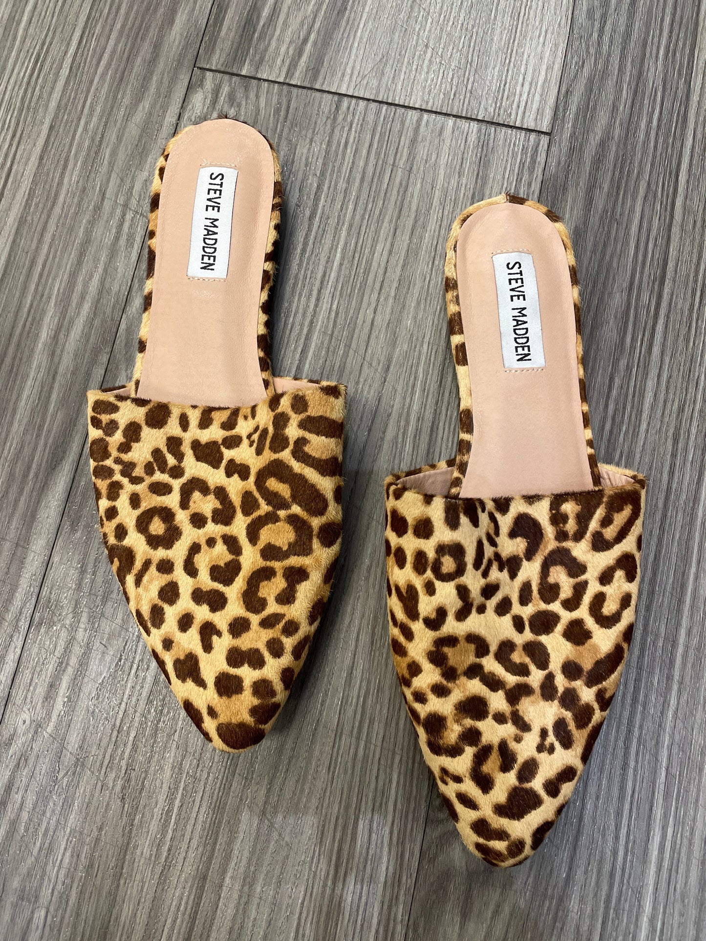 Shoes Flats Mule & Slide By Steve Madden  Size: 8.5