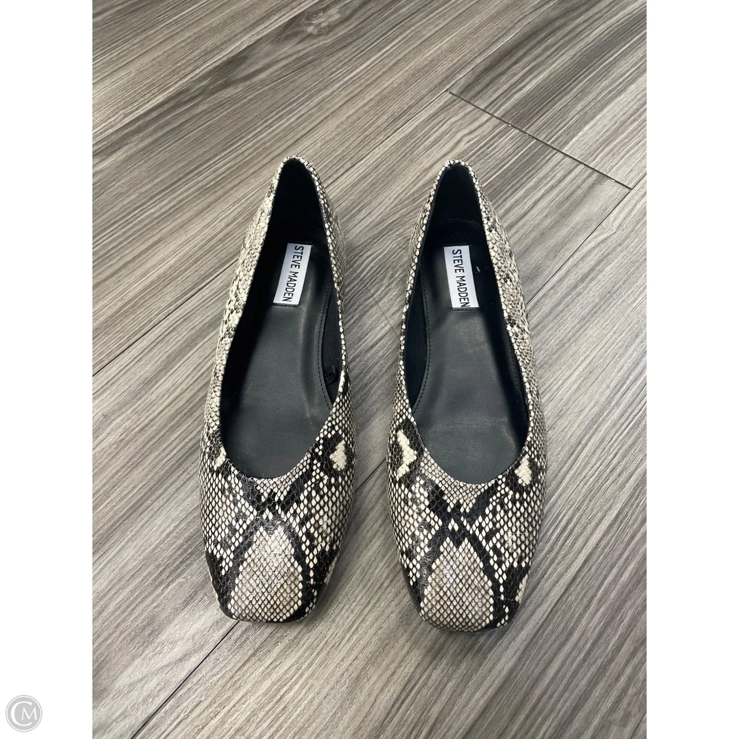 Shoes Flats By Steve Madden In Animal Print, Size: 8.5