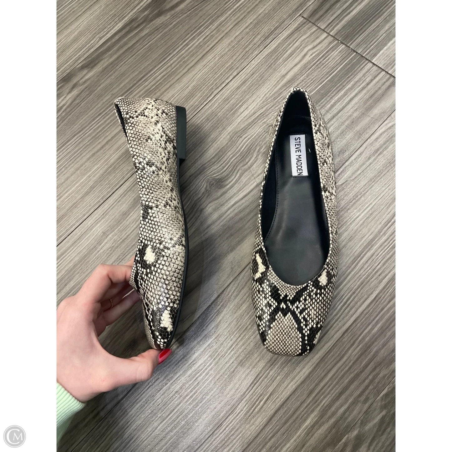 Shoes Flats By Steve Madden In Animal Print, Size: 8.5