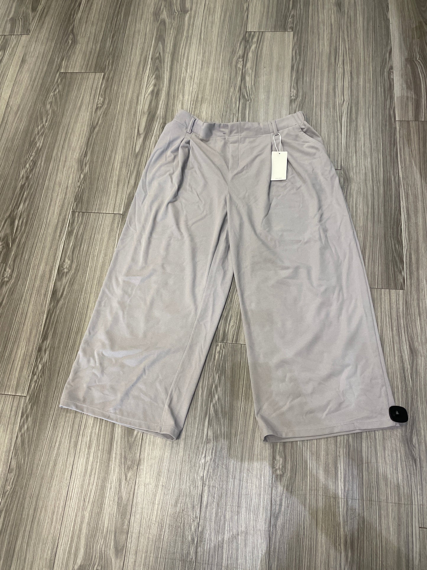 Grey Pants Wide Leg Clothes Mentor, Size 2x