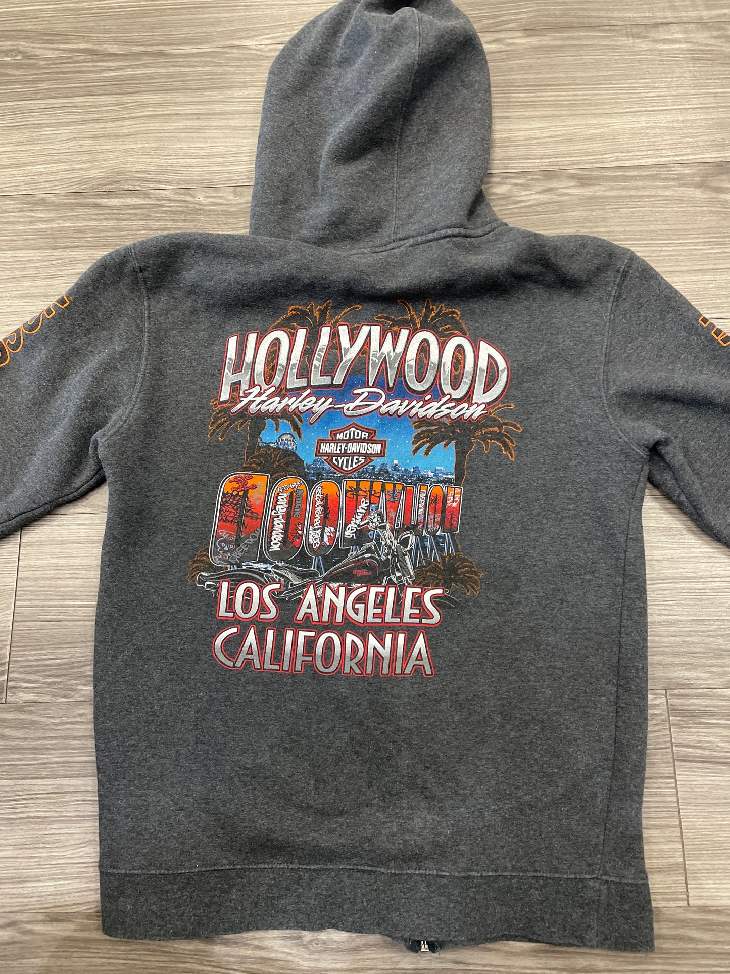 Sweatshirt Hoodie By Harley Davidson In Grey, Size: M