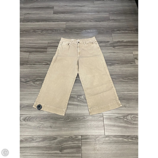Pants Wide Leg By Ana In Brown, Size: 16