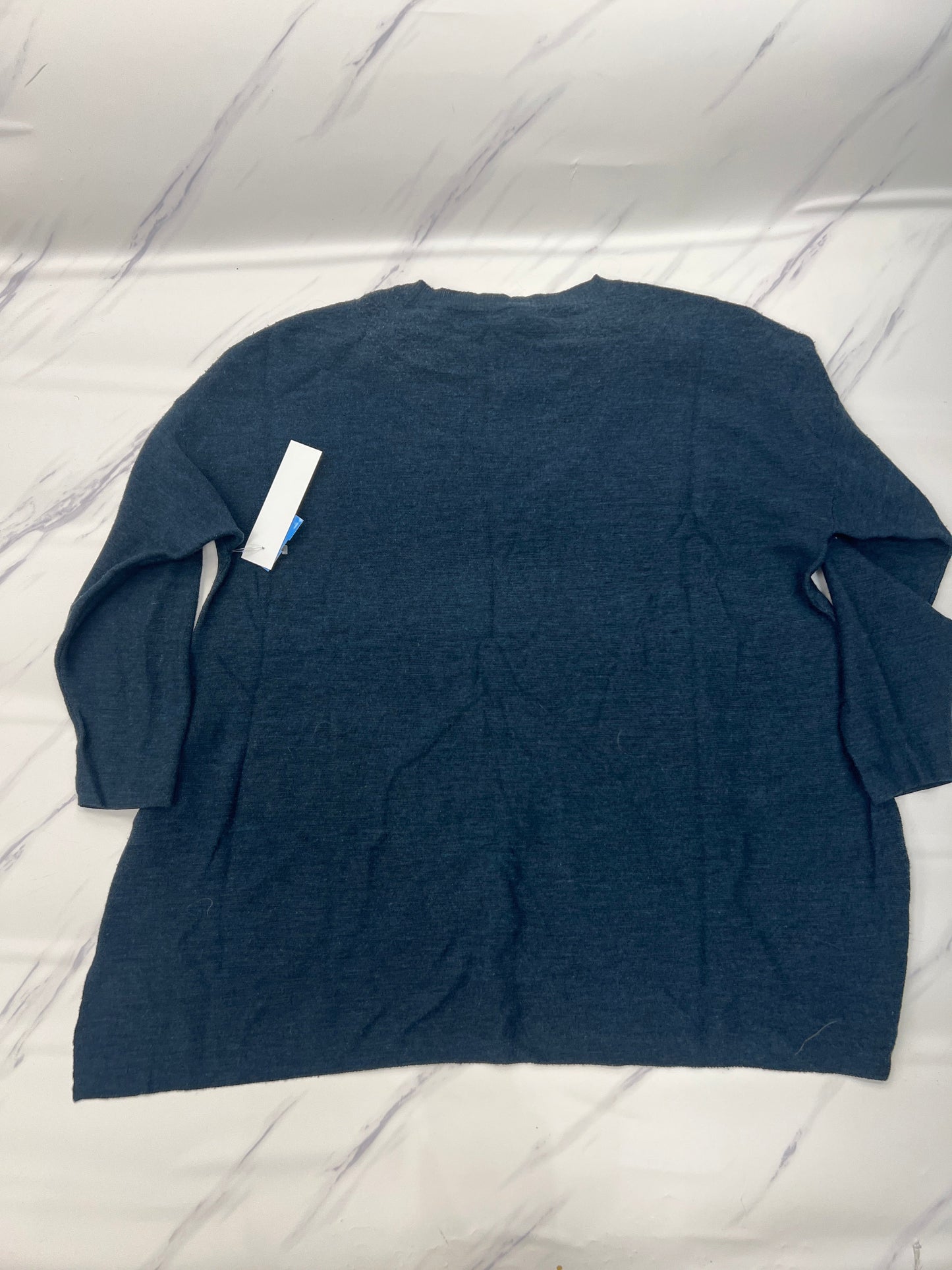 Sweater By Eileen Fisher In Blue, Size: Xl