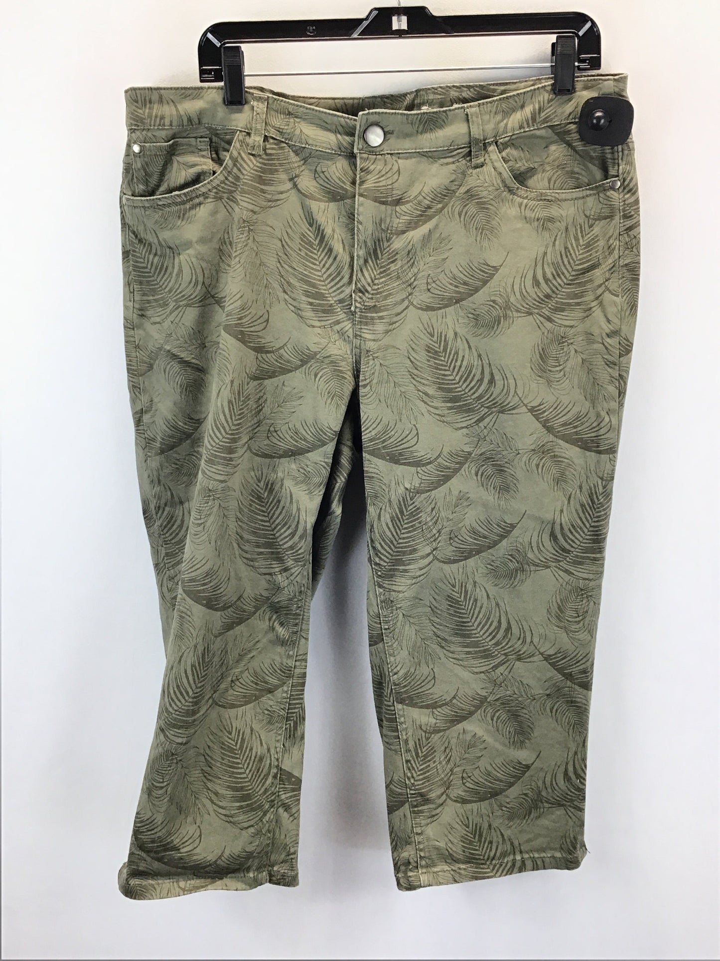 Green Pants Other Christopher And Banks, Size 14