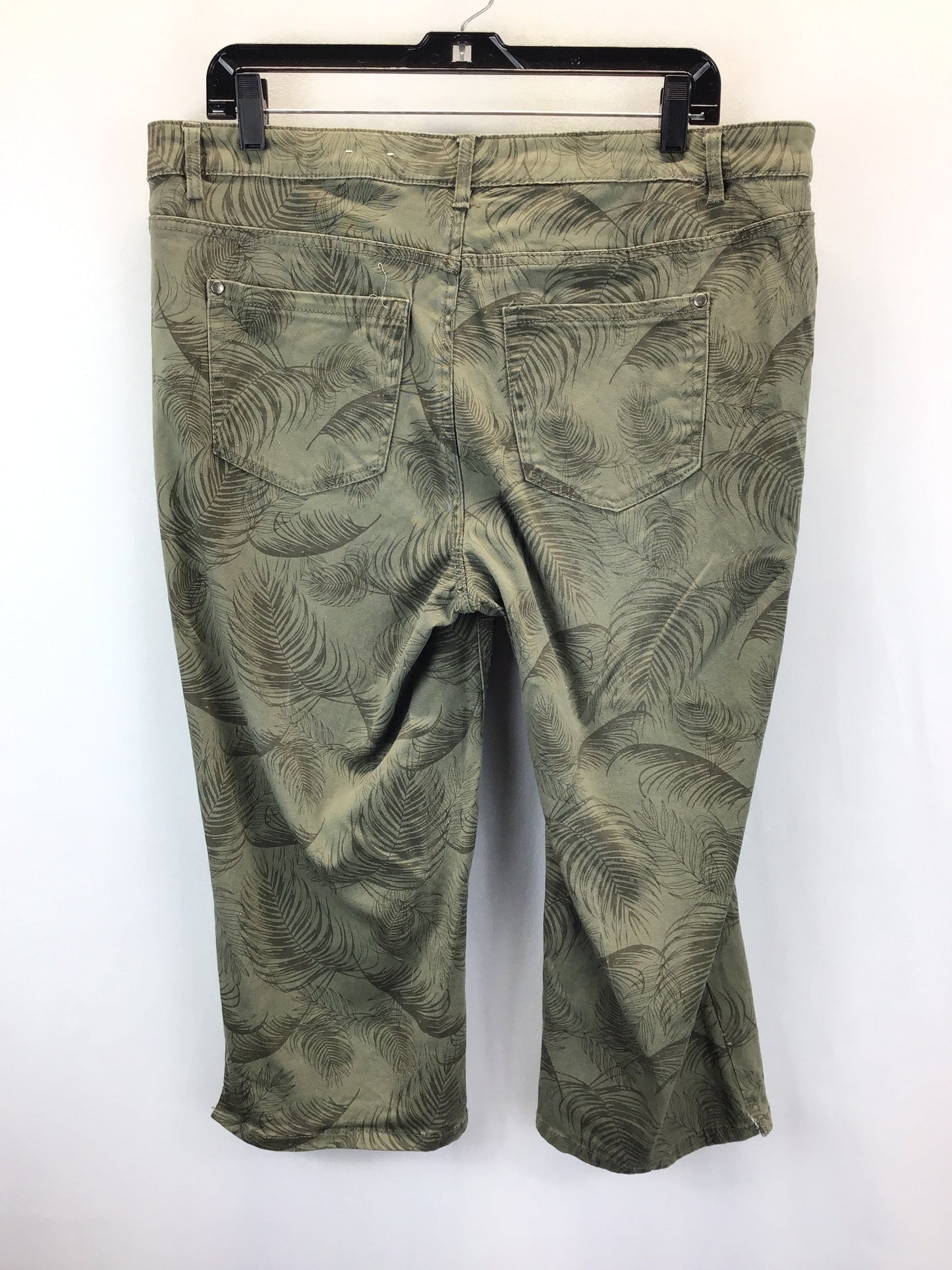 Green Pants Other Christopher And Banks, Size 14