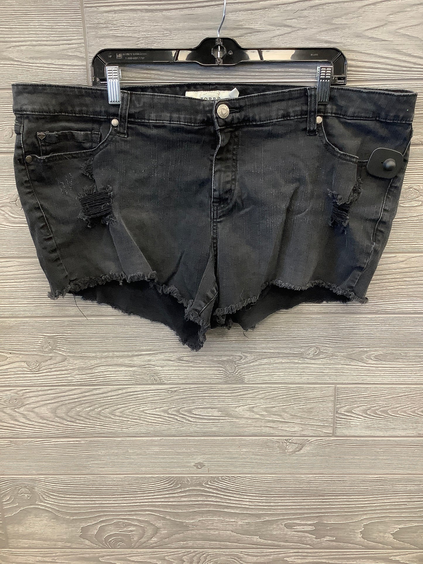 Shorts By Torrid  Size: 24