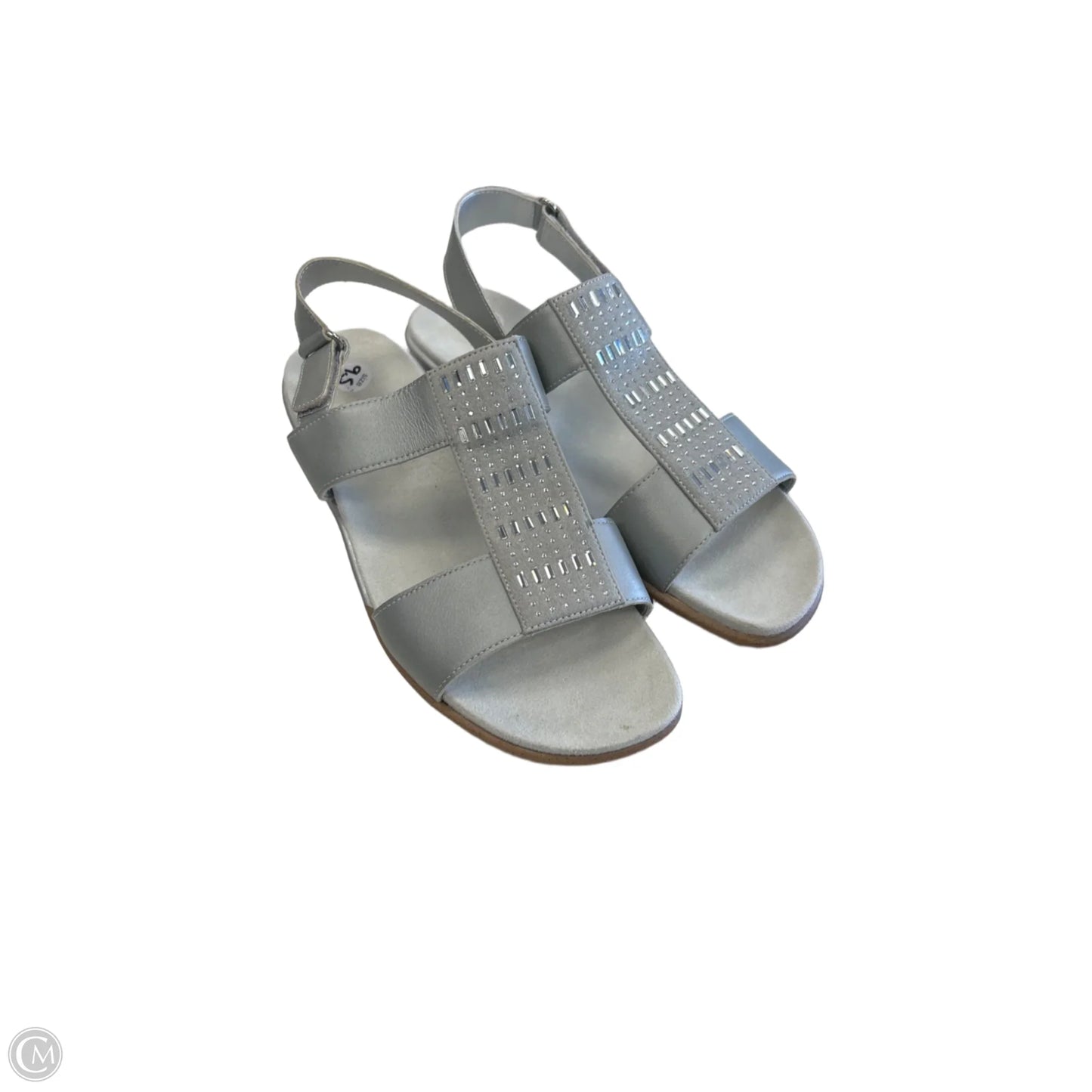 Sandals Flats By Easy Spirit In Silver, Size: 9.5
