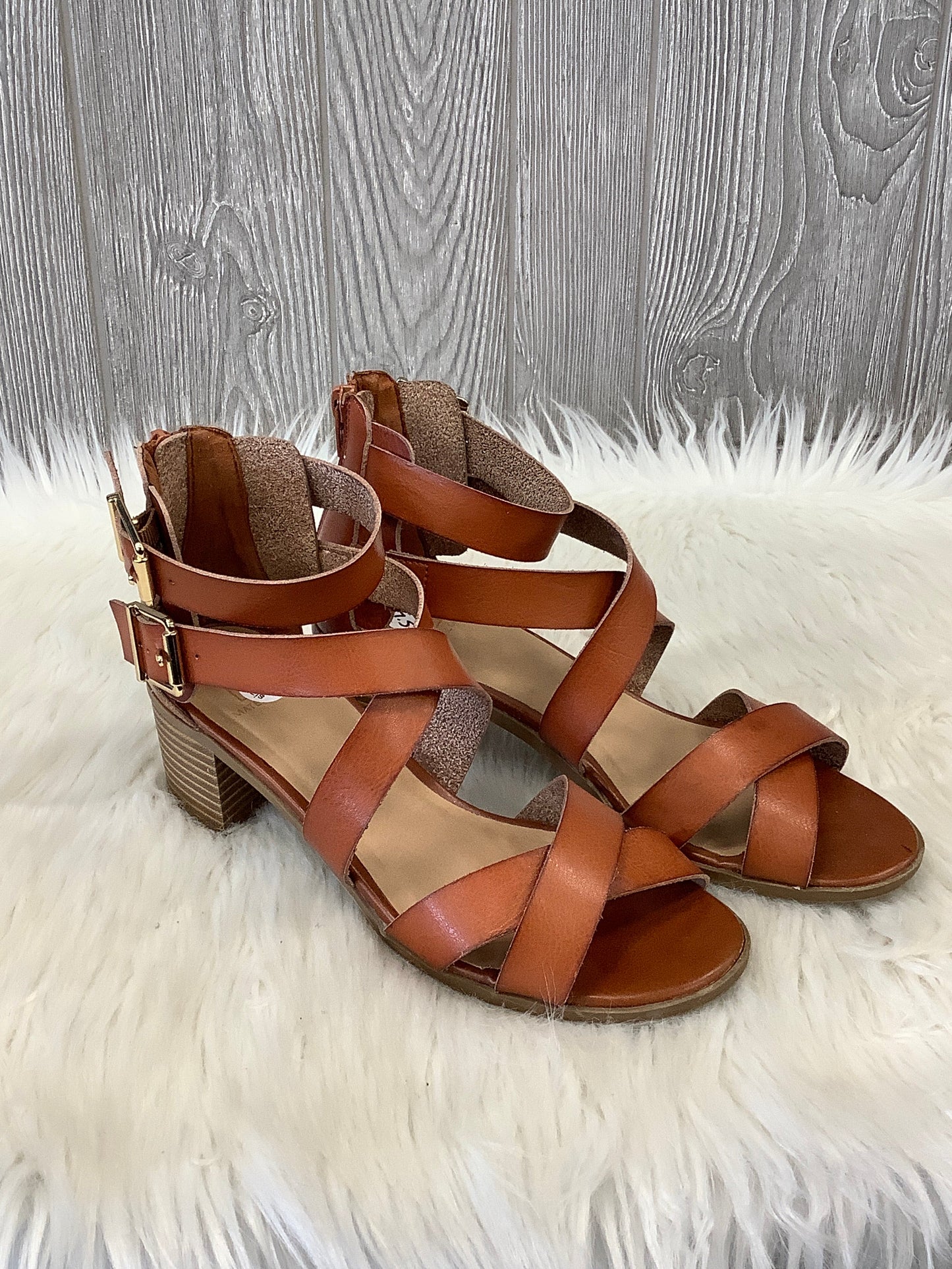 Sandals Heels Block By Material Girl In Brown, Size: 7.5