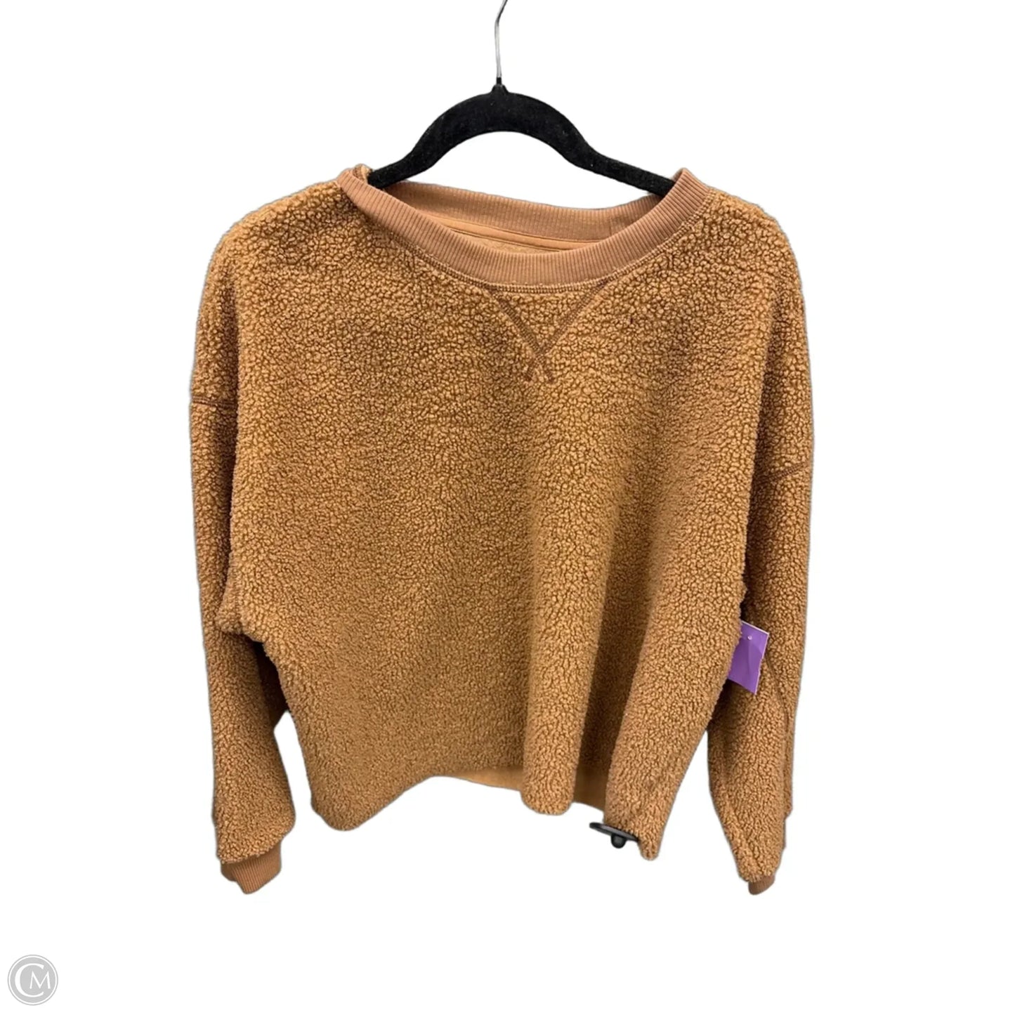 Sweatshirt Crewneck By American Eagle In Brown, Size: L