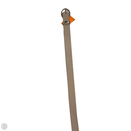 Belt By Clothes Mentor