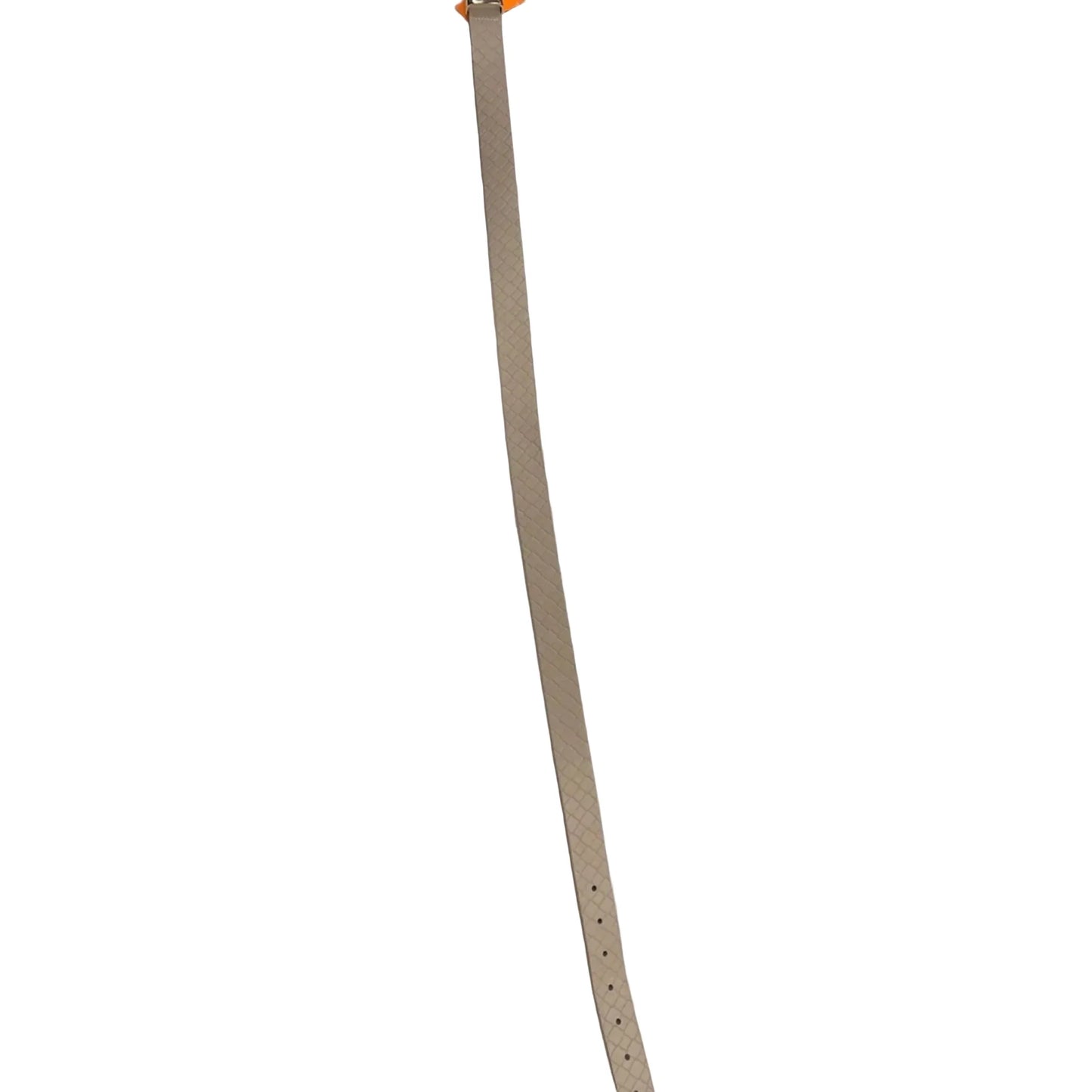 Belt By Clothes Mentor