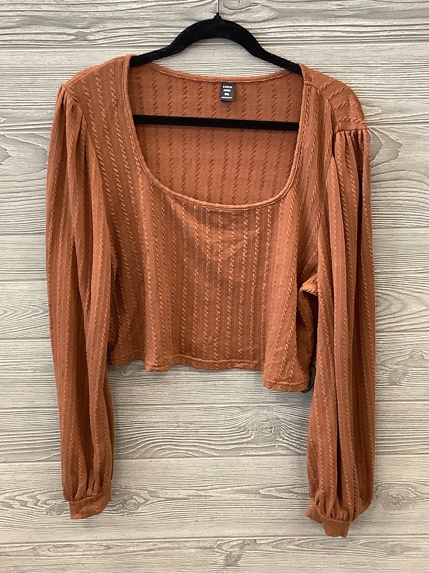 Top Long Sleeve By Shein In Brown, Size: 3x