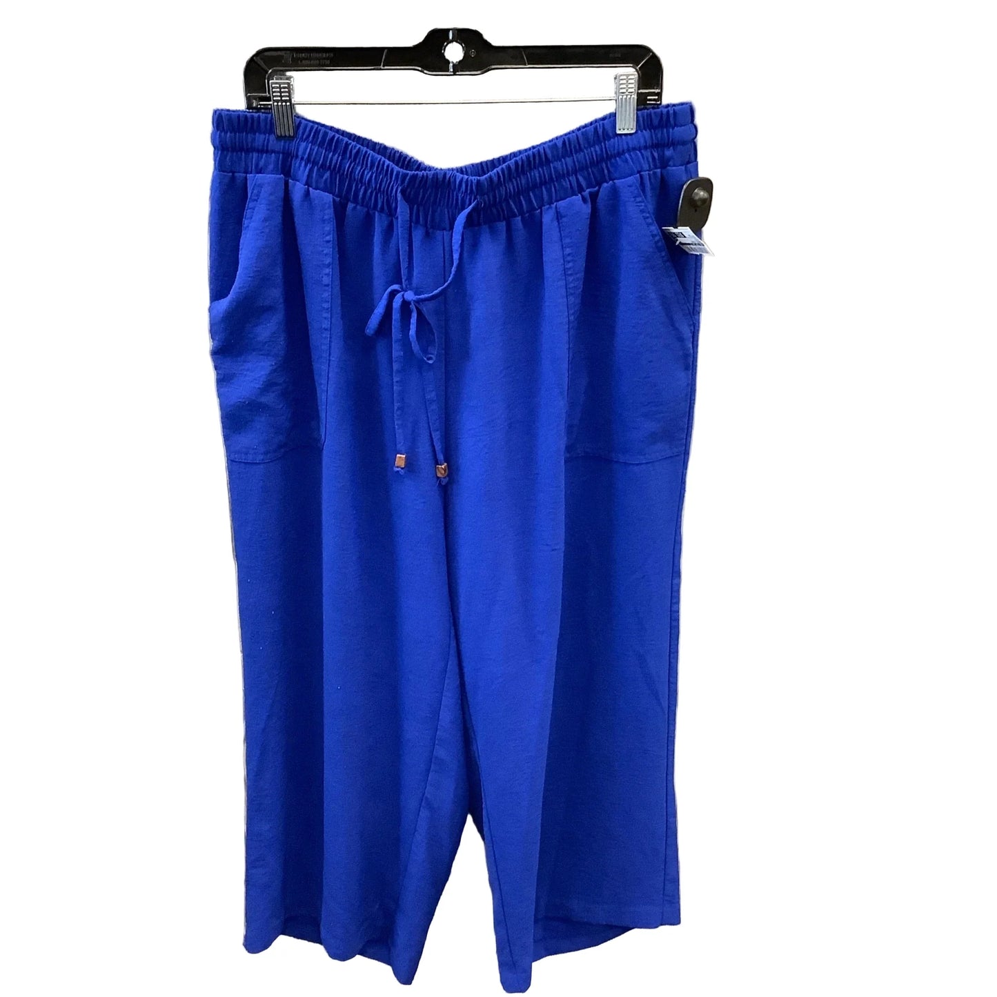 Pants Other By New York And Co In Blue, Size: 18