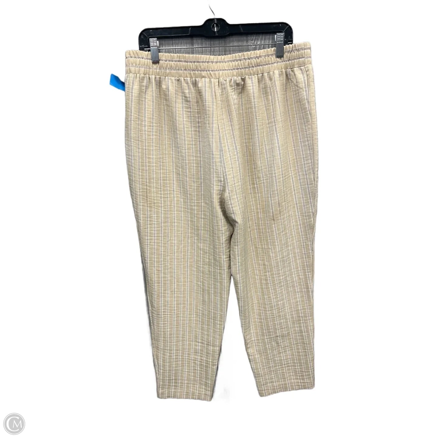 Pants Other By Nycc In Striped Pattern, Size: 12